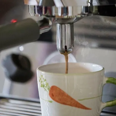 Girbl Bio - Haus Girbl Appartement Strobl