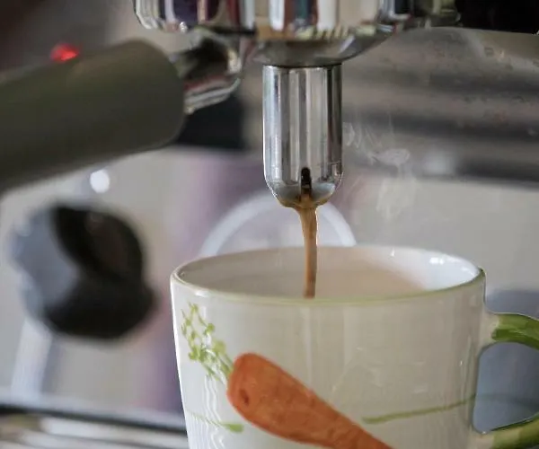 Girbl Bio - Haus Girbl Apartamento Strobl